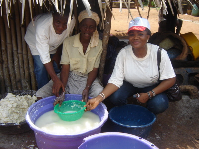 Cassava Paste (Fufu) Processing